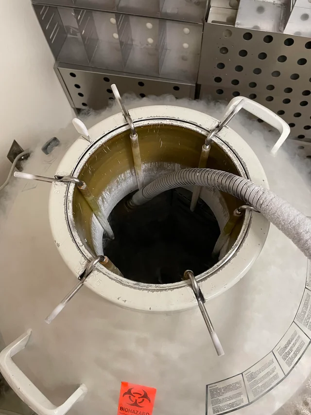 液氮罐 液氮罐